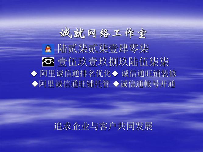 山东阿里诚信通优化